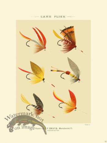 Favorite Flies 12 Lake